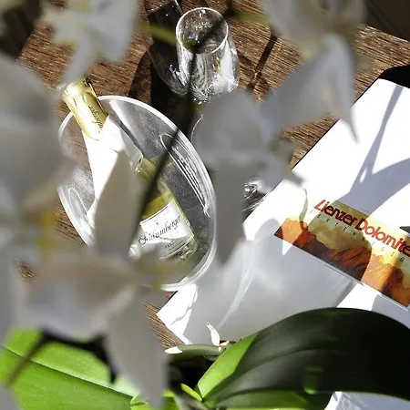 Moos-alm Hotell Lienz